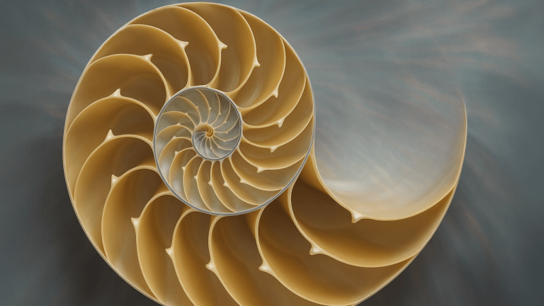 20250520011105909.
