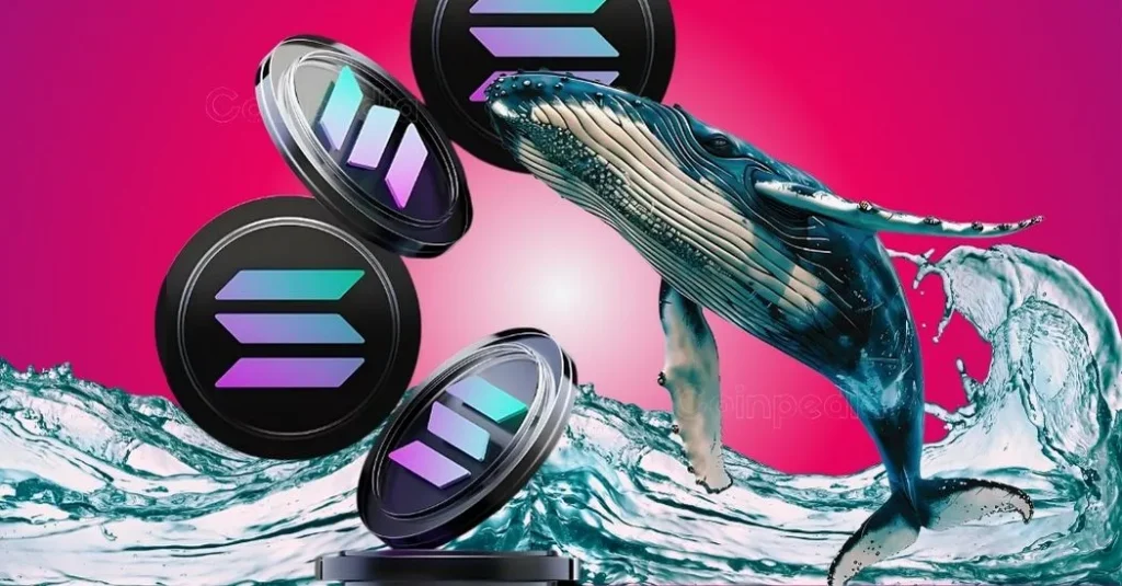 20250529171125544.