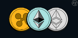 20250625044053555.